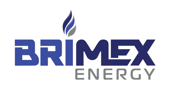 CIA Brimex Logo V 1
