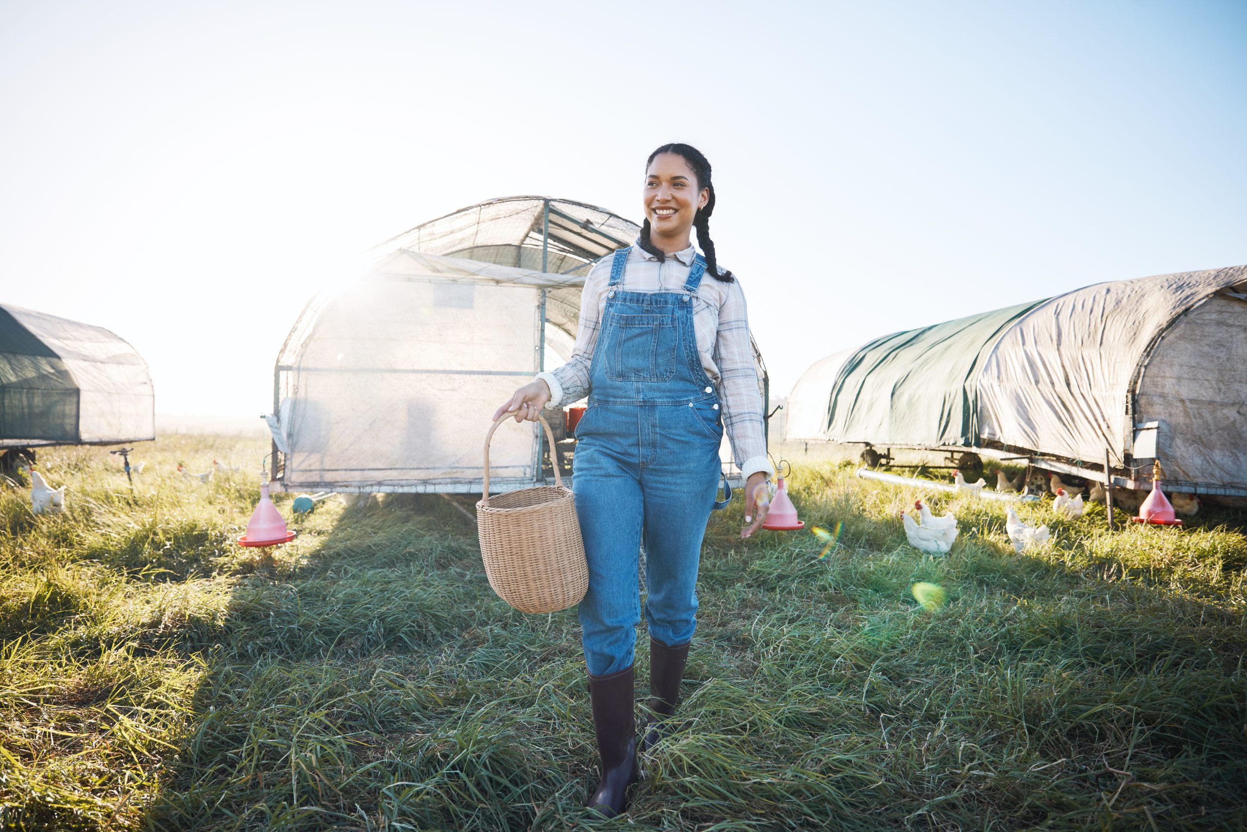 chicken coop woman with basket walking on farm wi 2025 04 05 15 49 03 utc